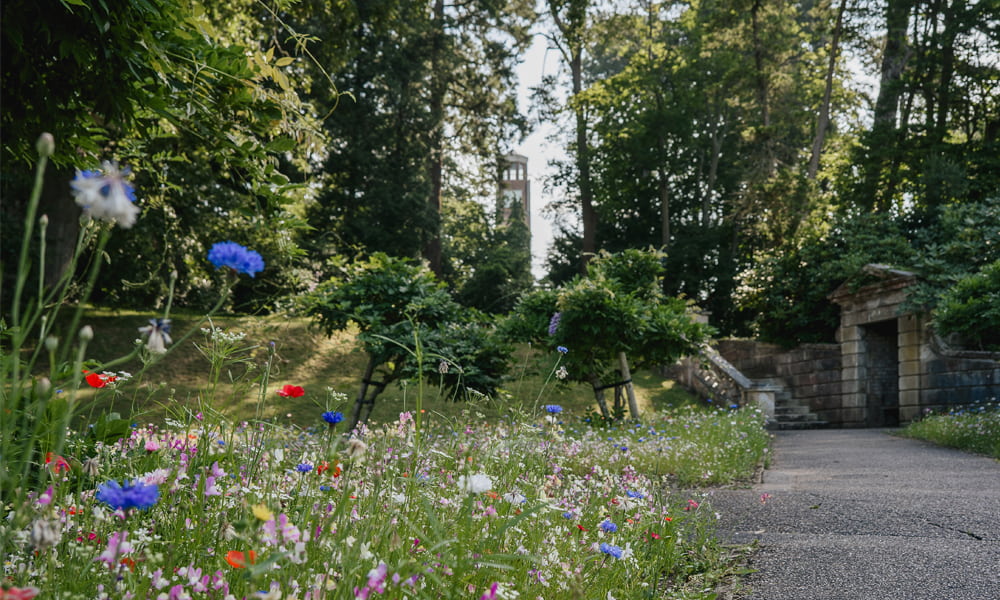 outdoor-blog