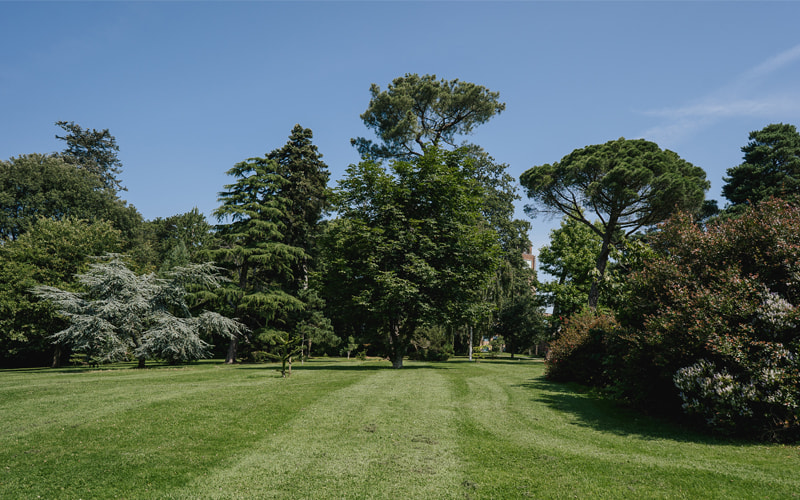 Grounds-inblog