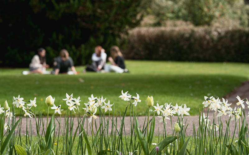 picnic-in-blog (1)