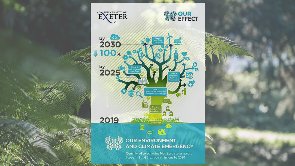 sustainability