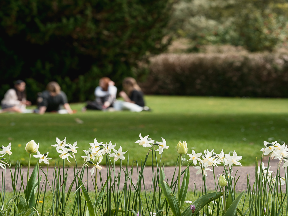 Easter in Exeter: Enjoy a Relaxed Spring Break on Campus